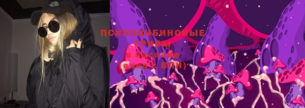 хмурый Абинск