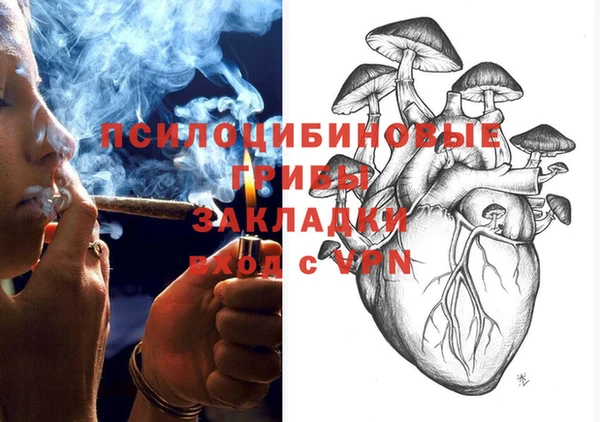 спайс Абаза