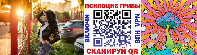 Галлюциногенные грибы Psilocybine cubensis  закладка  Тырныауз 