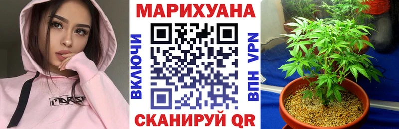 Шишки марихуана Amnesia Тырныауз